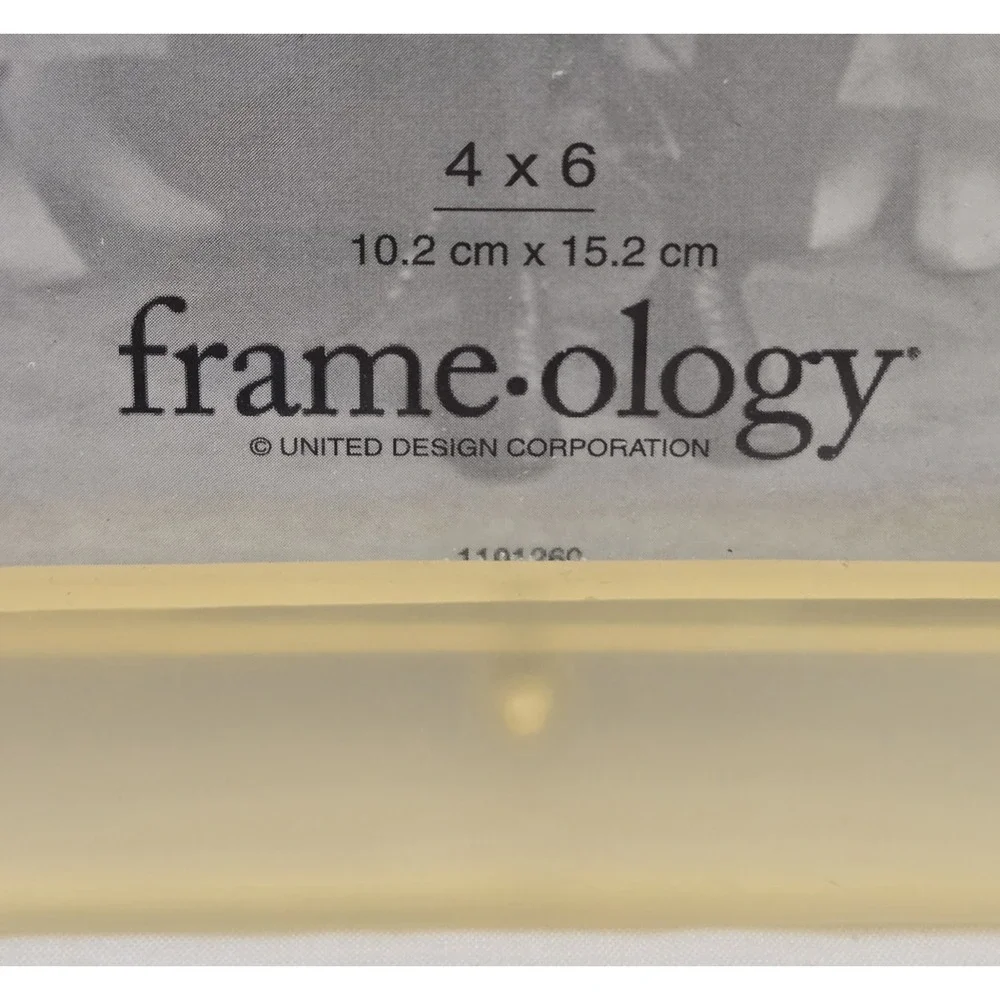 Vintage Lucite Encased Faux Rose 3D Picture Frame Frame-ology 4x6 Cottagecore